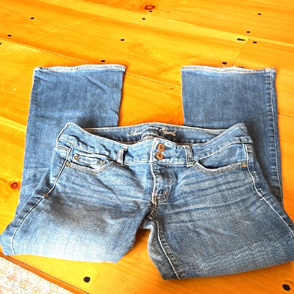 Vintage AEO Artist Flare Jeans